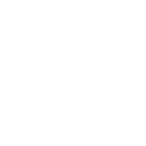 N-Brands - klant logo